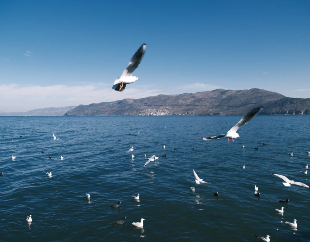 Erhai Lake travel tips