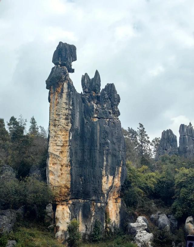 Stone Forest opening hours