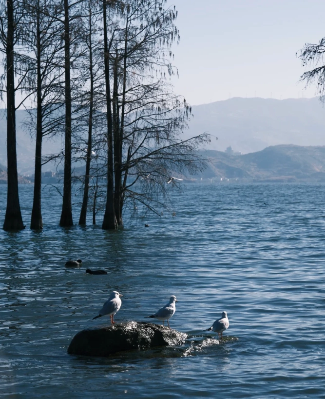 Erhai Lake crowd calendar