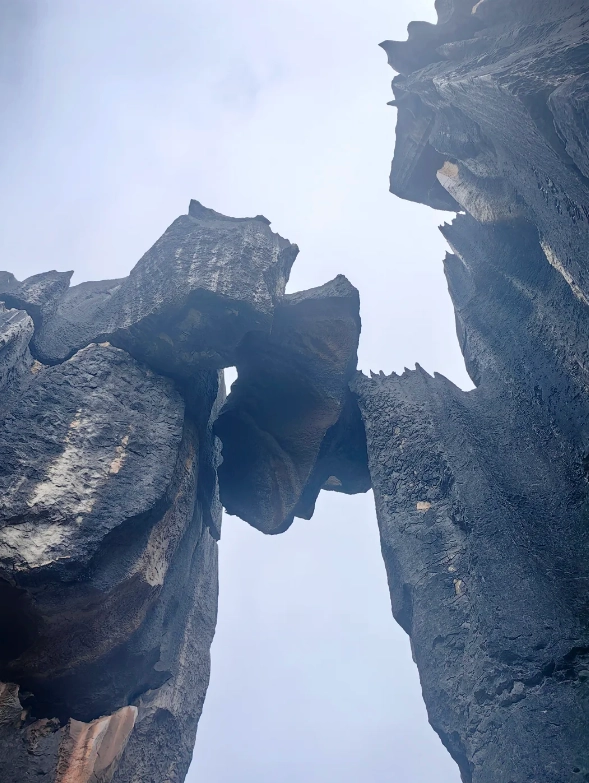Shilin Stone Forest visiting hours
