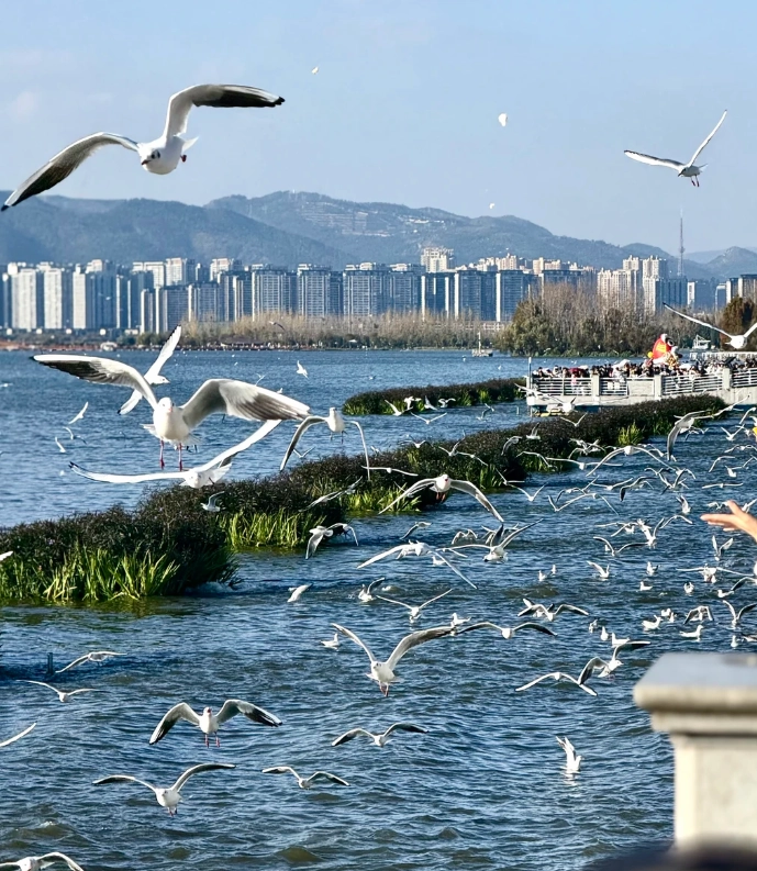 How to Get to Dianchi Lake: 3 Best Routes & Insider Tips