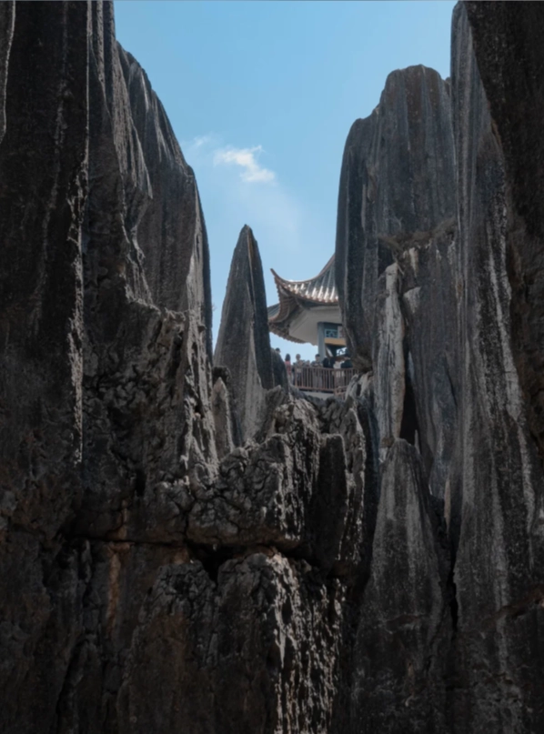 best route in Stone Forest best route in Stone Forest