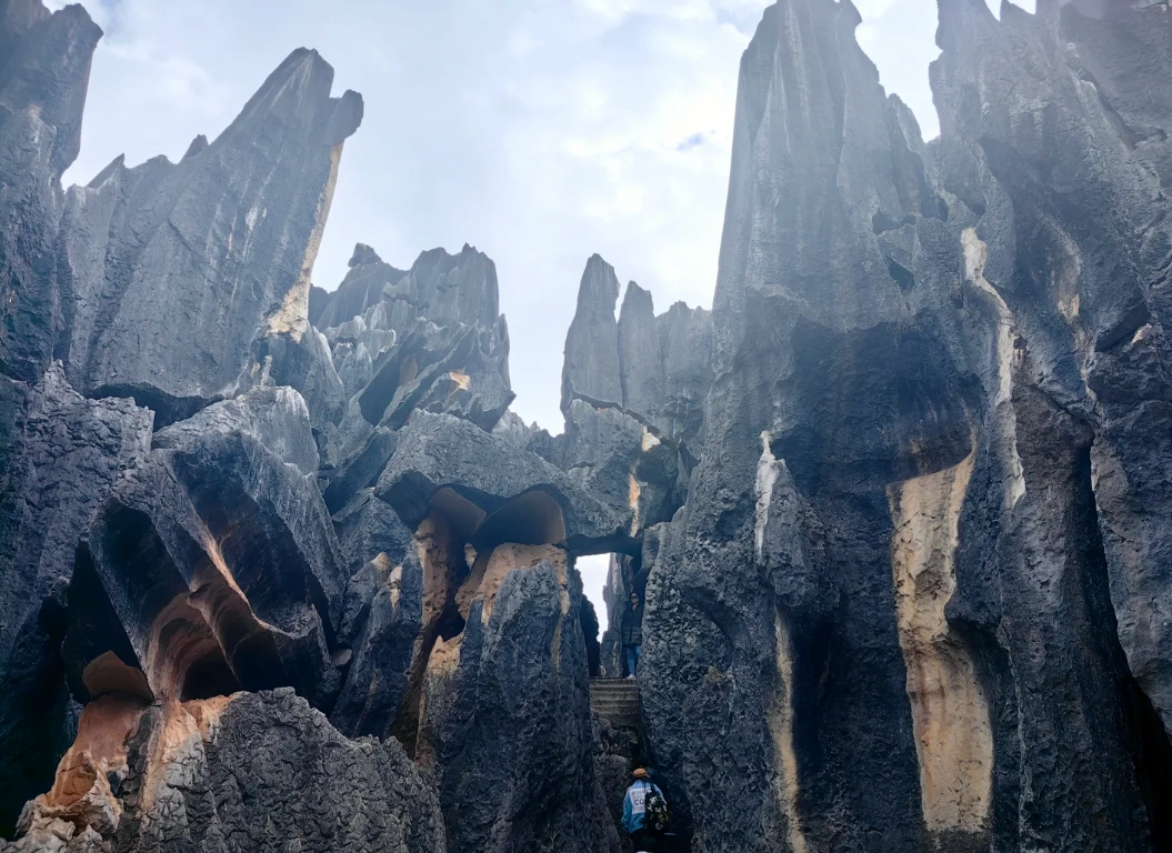 Stone Forest ticket booking