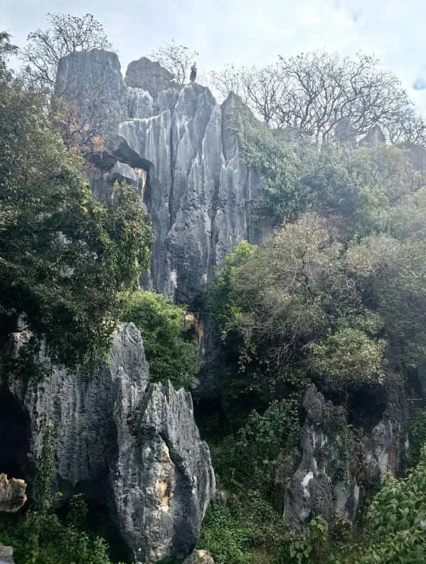 Stone Forest best time to visit
