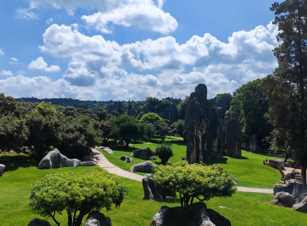 Stone Forest guide