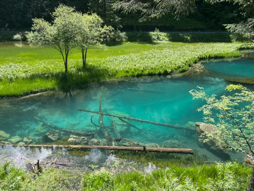 Is Jiuzhaigou National Park Worth Visiting? My Honest Take