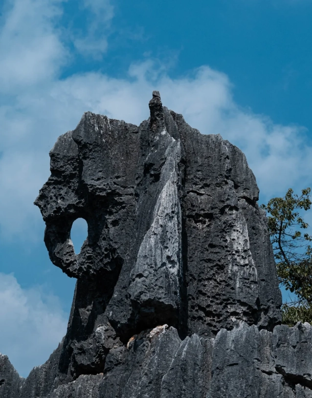 Stone Forest map Stone Forest map