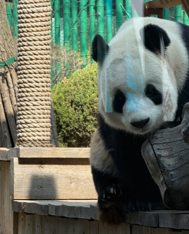Dalian Forest Zoo tips Dalian Forest Zoo tips