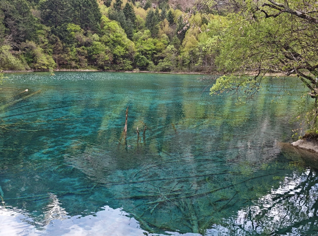 Jiuzhaigou accommodation