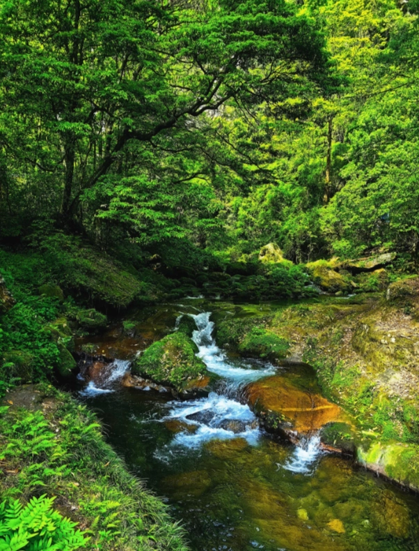 how to avoid crowds Zhangjiajie how to avoid crowds Zhangjiajie