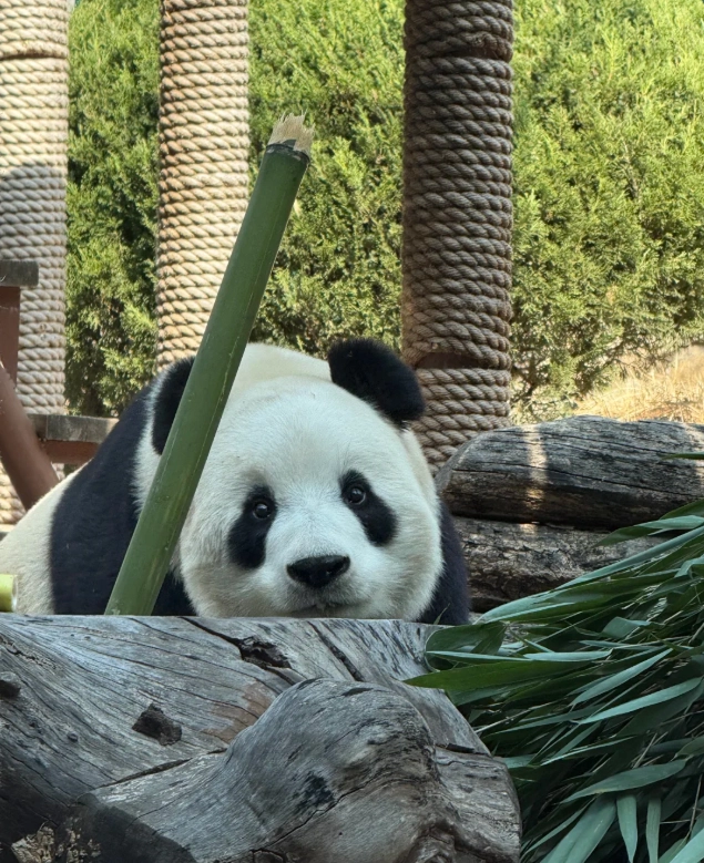 Dalian Forest Zoo tickets Dalian Forest Zoo tickets