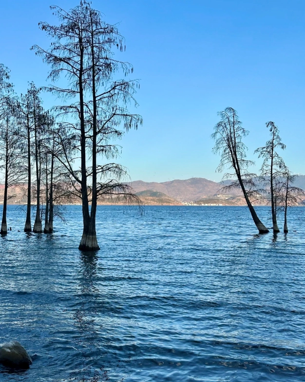 Erhai Lake weather by month