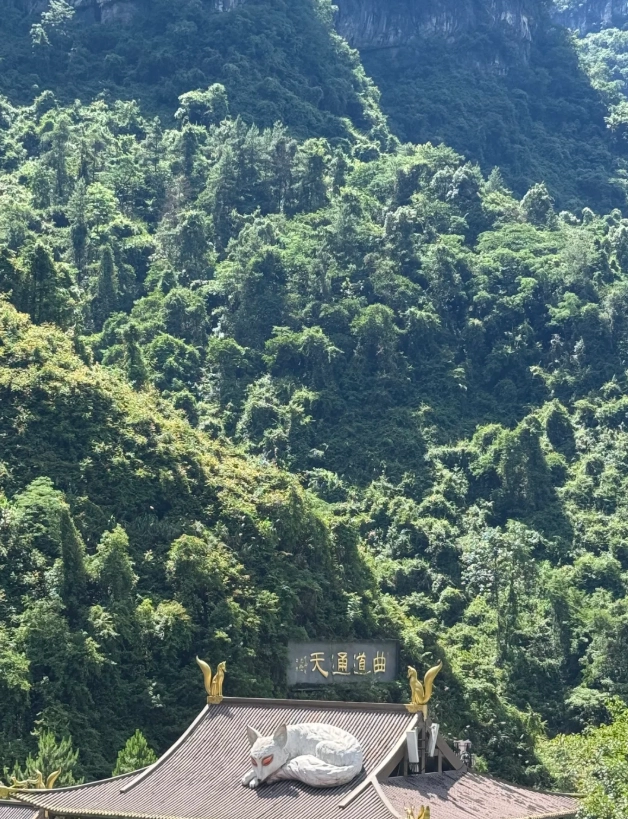 Zhangjiajie travel tips Zhangjiajie travel tips