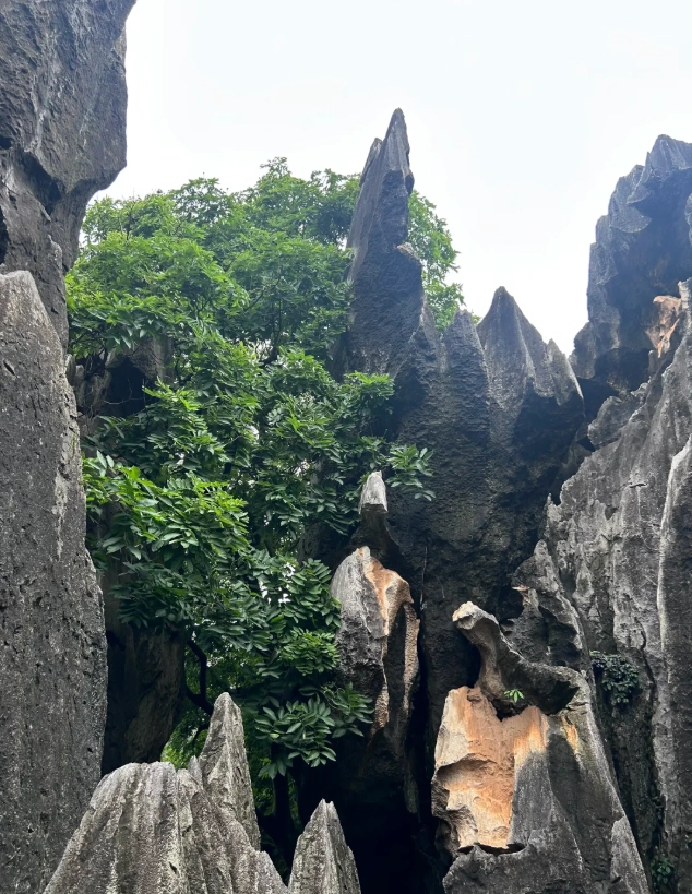 Shilin geology park Shilin geology park
