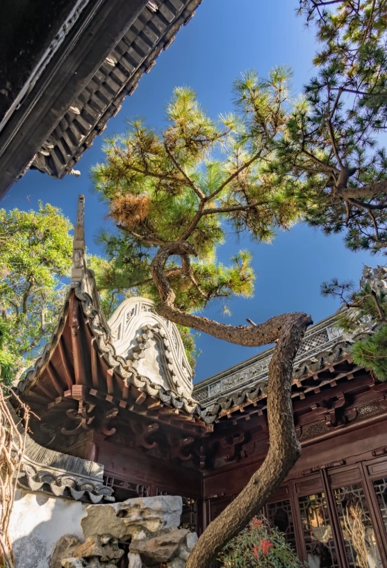 Yu Garden opening hours: Don't miss the gate - exact schedule + tips