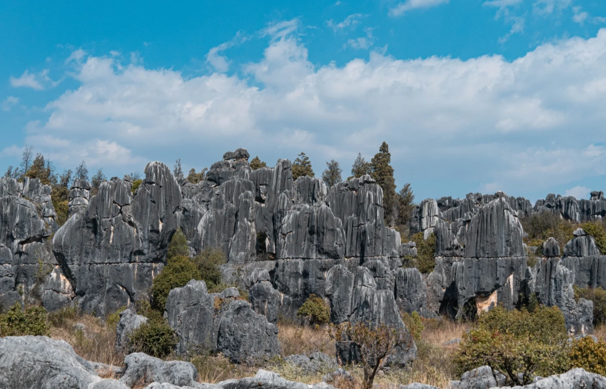 Stone Forest ticket prices 2025 Stone Forest ticket prices 2025