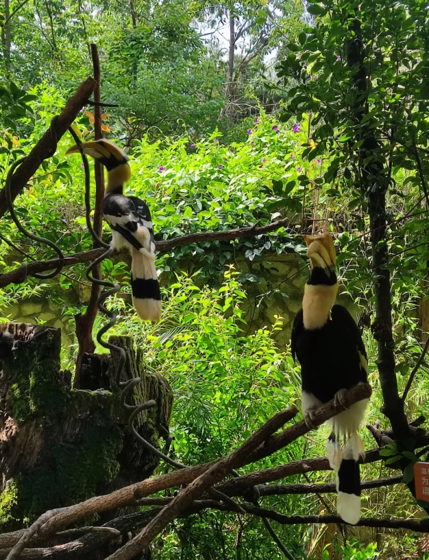 Best Time to Visit Yunnan Wildlife Park: Dodge Crowds & Catch Babies