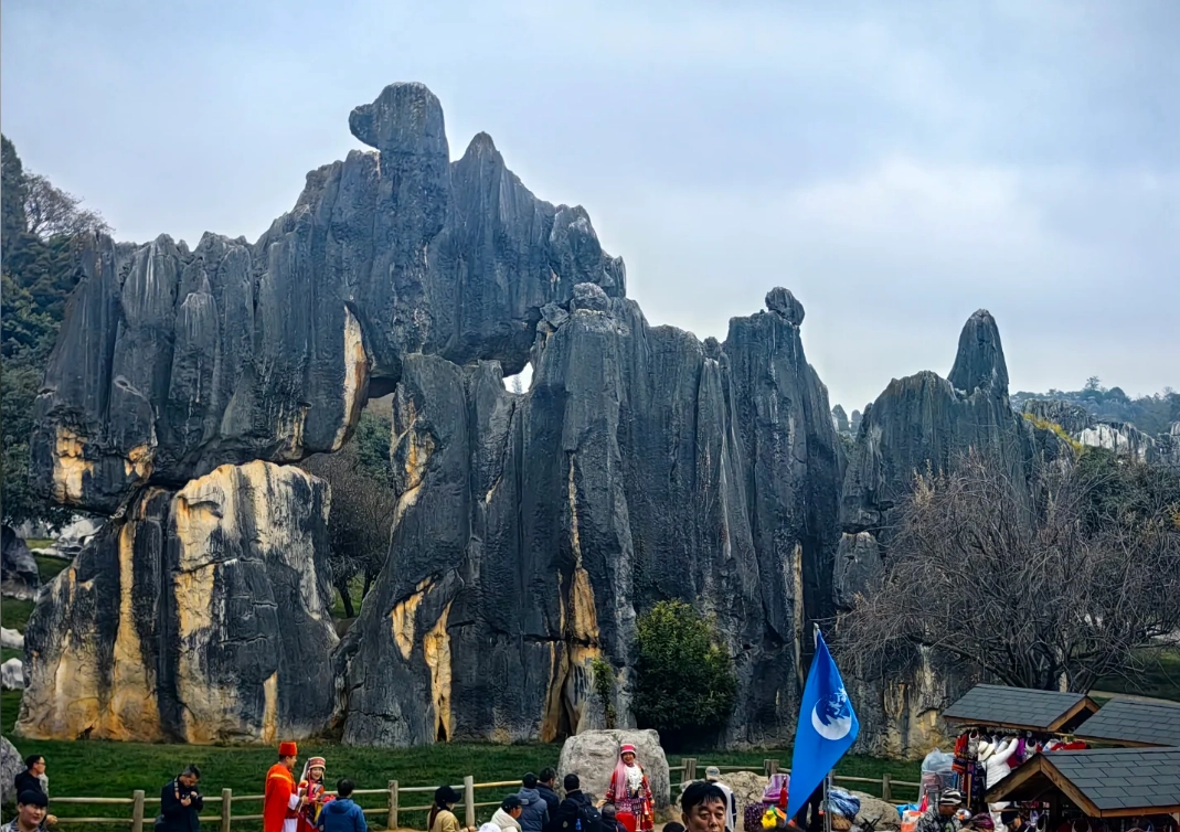 Stone Forest Scenic Area hours