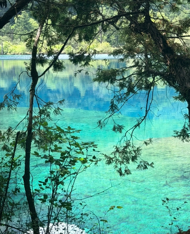 Jiuzhaigou best time