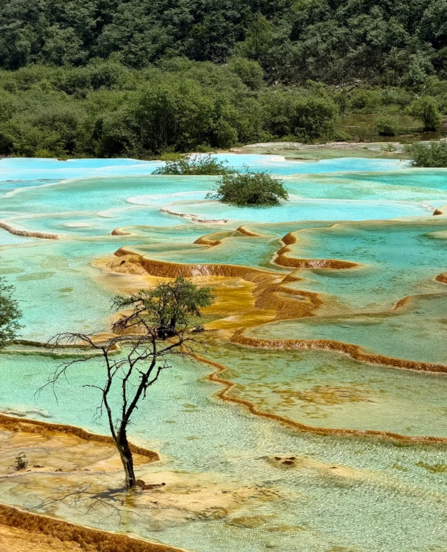 Huanglong scenic area guided tour Huanglong scenic area guided tour