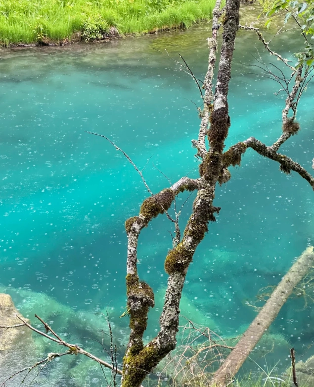 best photo spots Jiuzhaigou