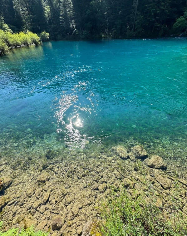 how to visit jiuzhaigou national park how to visit jiuzhaigou national park