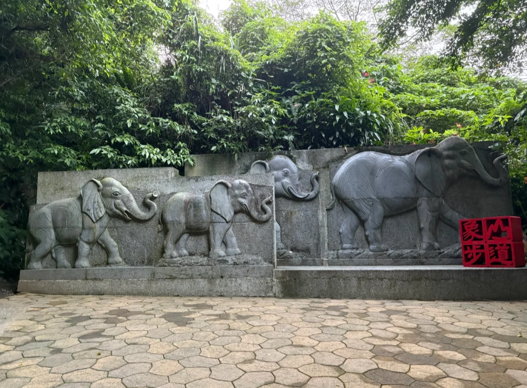Elephant Mountain Taipei hike Elephant Mountain Taipei hike