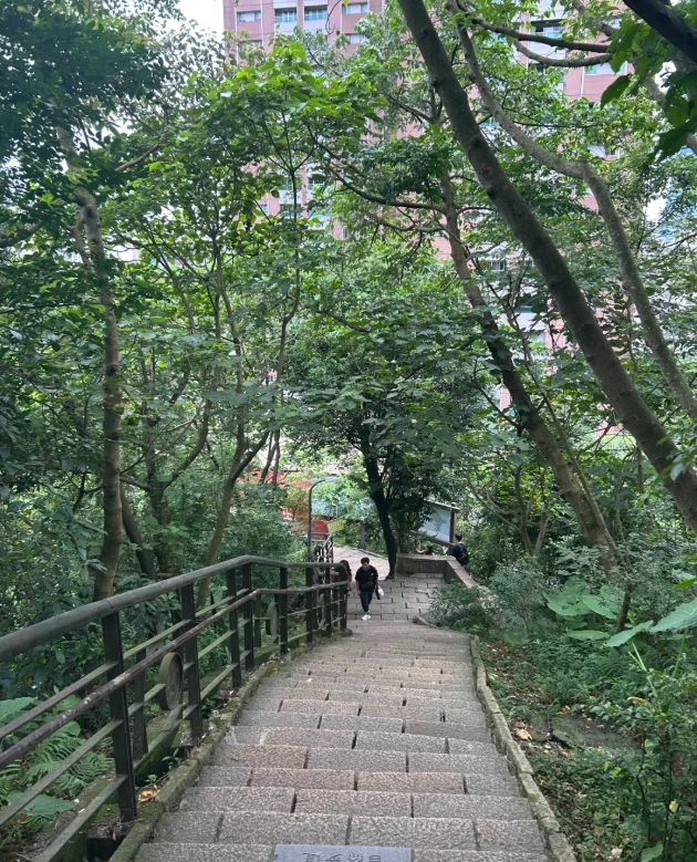 elephant mountain english guide elephant mountain english guide