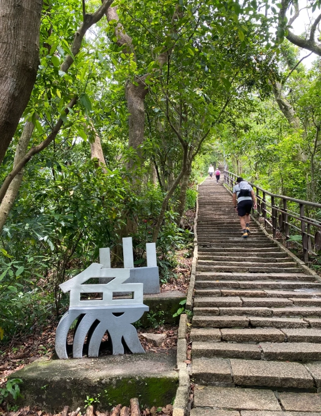 Elephant Mountain steps count Elephant Mountain steps count