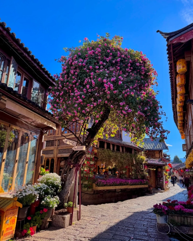 Old Town of Lijiang Guided Tour: Insider Tips to Skip Crowds & Save Money