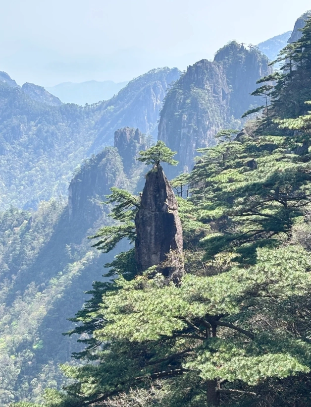 best time to visit Yellow Mountain best time to visit Yellow Mountain