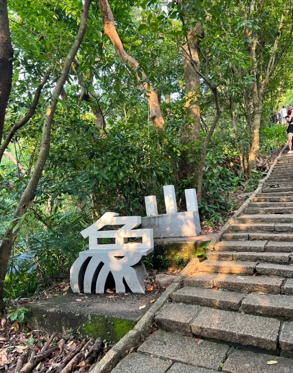 Elephant Mountain trail access