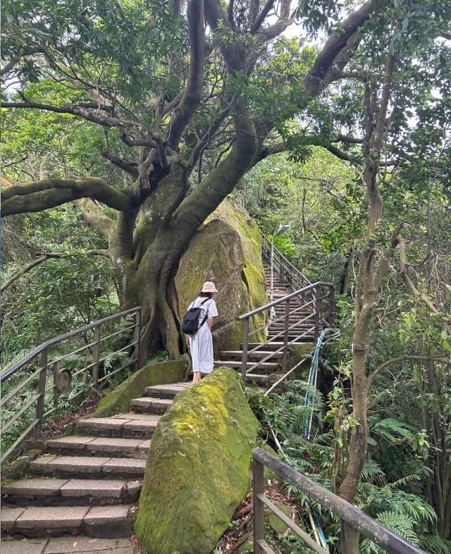 taipei hiking trails taipei hiking trails