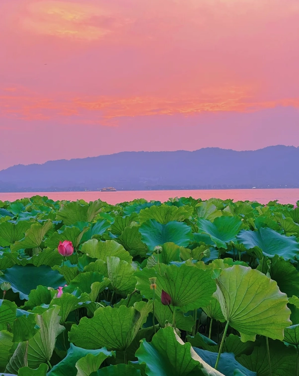 west lake travel tips west lake travel tips