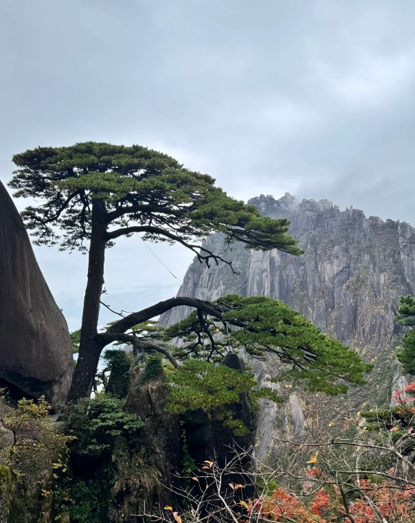 best time to visit Yellow Mountain
