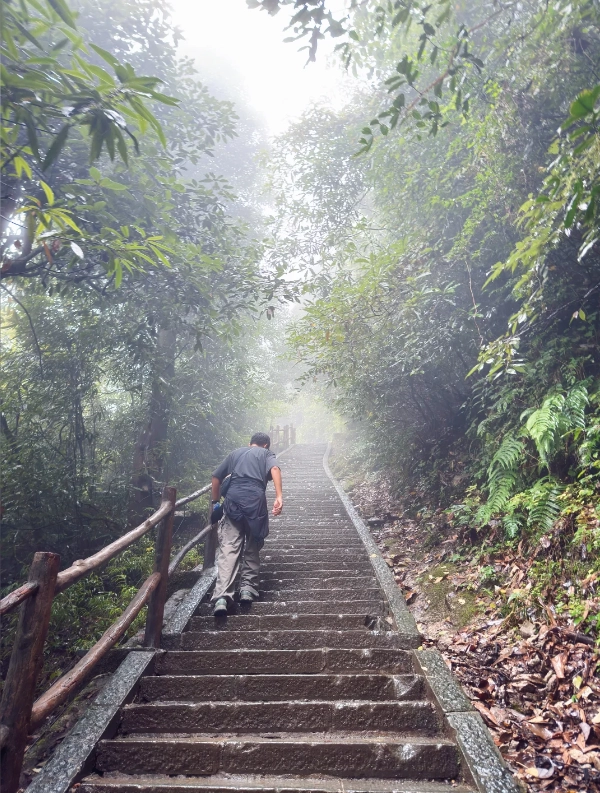 Emei Shan hiking Emei Shan hiking
