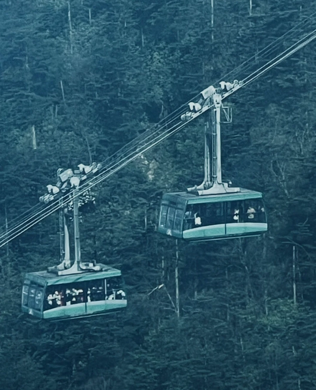 how to avoid crowds on Mount Emei cable car how to avoid crowds on Mount Emei cable car