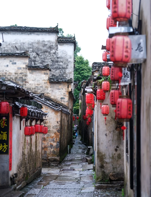 Hongcun day trip Hongcun day trip