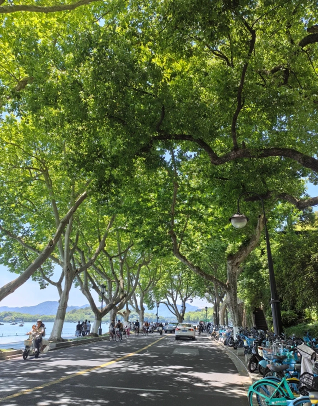 bike around West Lake