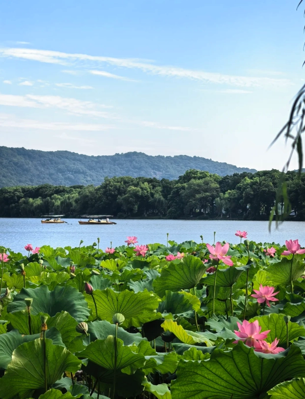 West Lake Tour: Beat the Crowds – Insider Tips