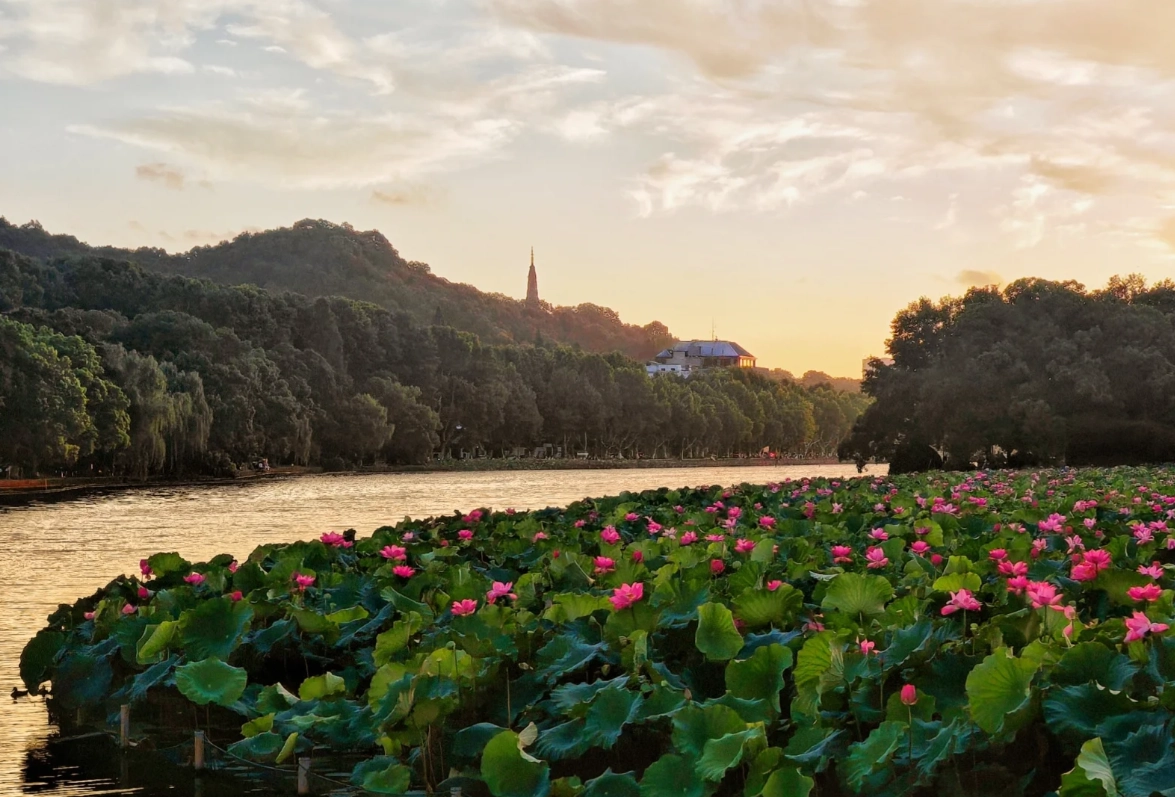 west lake seasonal guide west lake seasonal guide