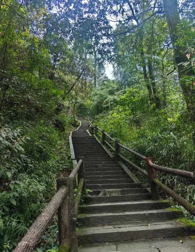 Leshan food guide Leshan food guide