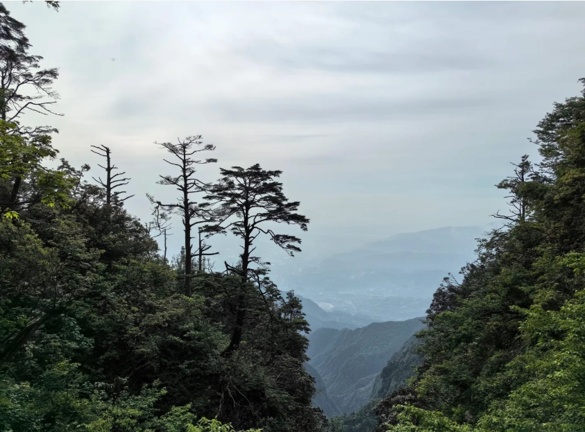 Mount Emei day trip Mount Emei day trip