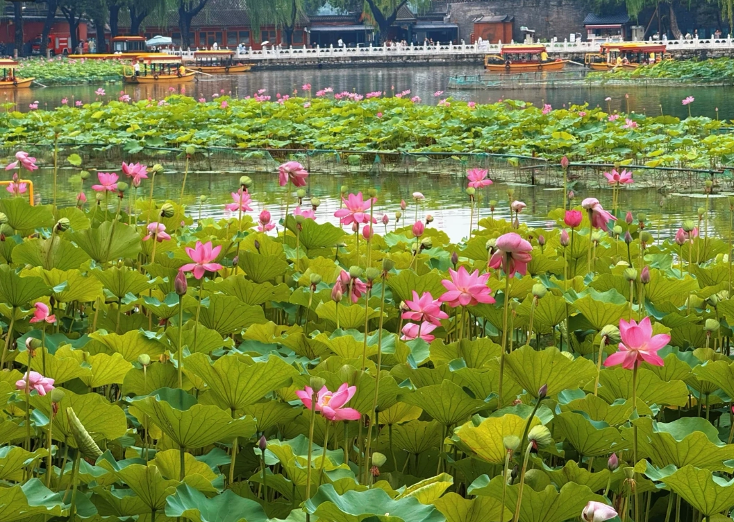how to buy Beihai Park tickets how to buy Beihai Park tickets