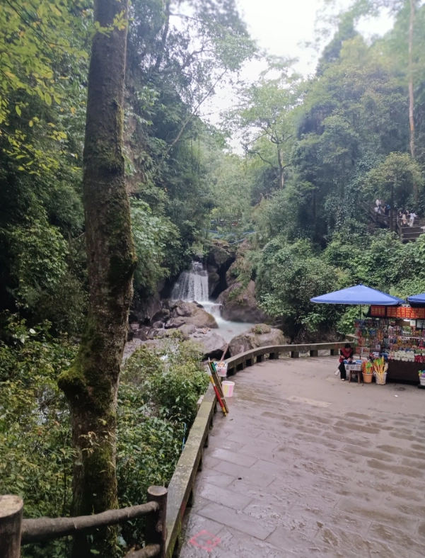 best time to visit Mount Emei best time to visit Mount Emei