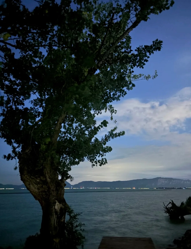 dianchi lake review dianchi lake review