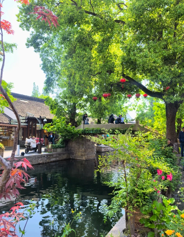 Zhujiajiao Water Town English Guide: Skip the Crowds, See the Real Canal Life