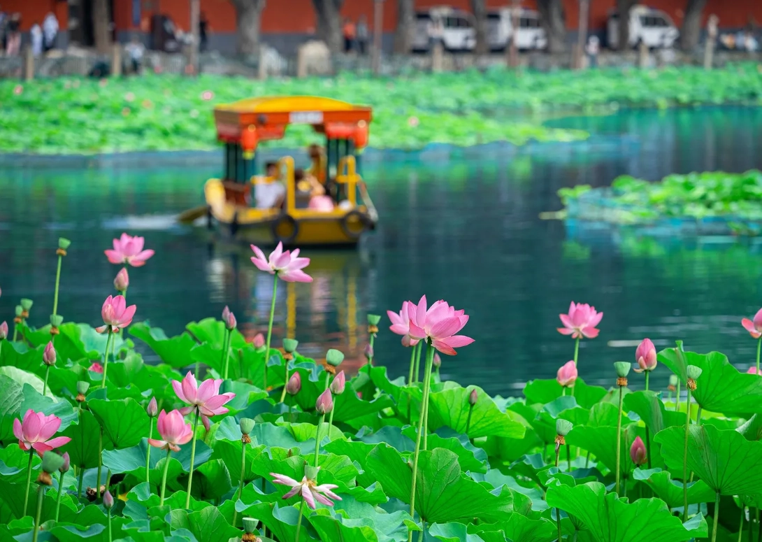 Beihai Park highlights Beihai Park highlights