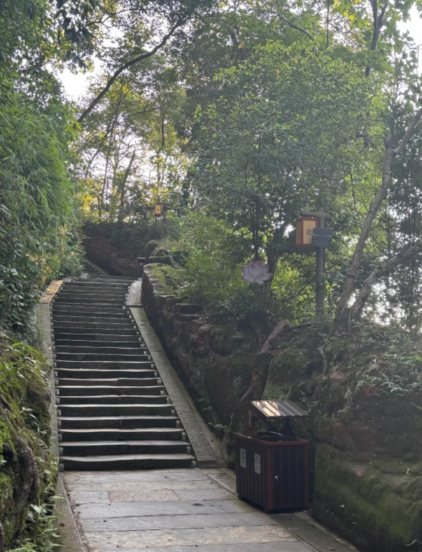 Leshan Giant Buddha tips
