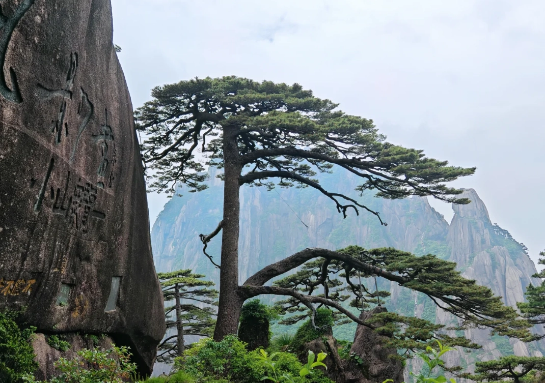 Huangshan mountain accommodation